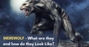 WEREWOLF - What are they and how do they Look Like?