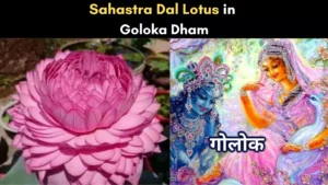 Sahastra Dal Lotus in Goloka Dham & How To Reach Golok Dhaam