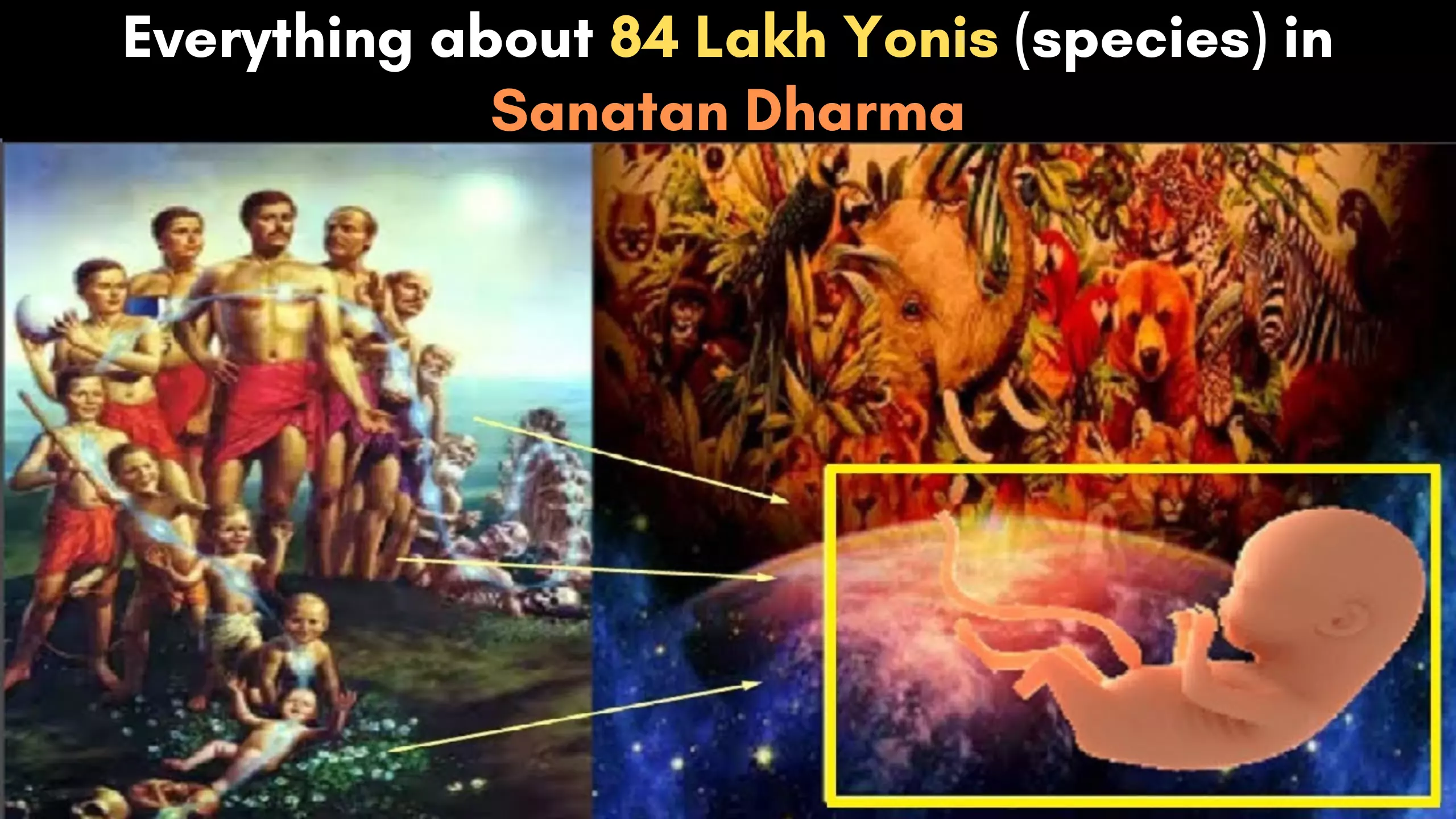 Everything about 84 Lakh Yonis (species) in Sanatan Dharma