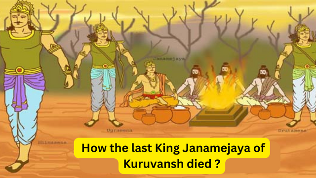How the last King Janamejaya of Kuruvansh died ?
