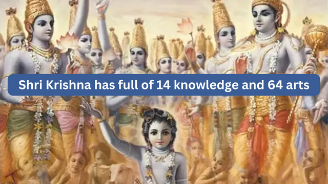Shri Krishna has full of 14 knowledge and 64 arts