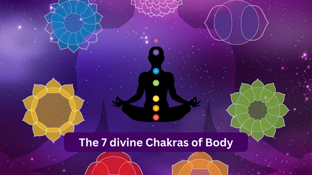 The 7divine Chakras of Body