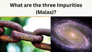 What are the three Impurities (Malas)?
