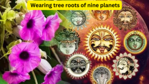 Wearing tree roots of nine planets