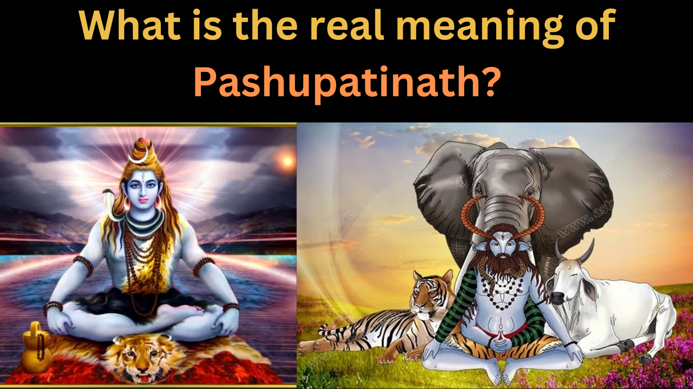 What is the real meaning of Pashupatinath?