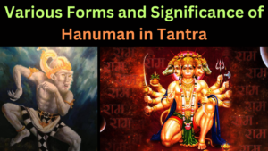 Various Forms and Significance of Hanuman in Tantra