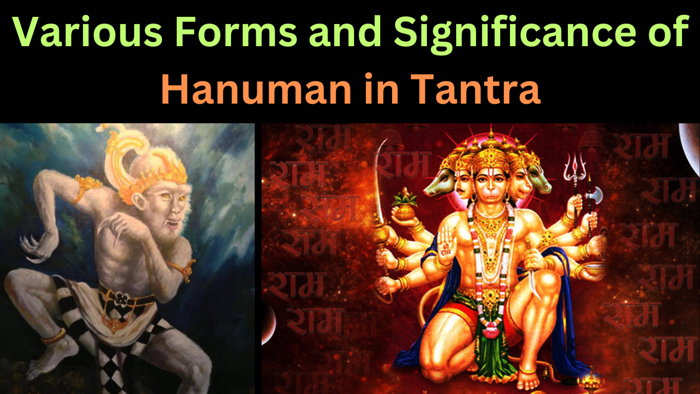 Various Forms and Significance of Hanuman in Tantra